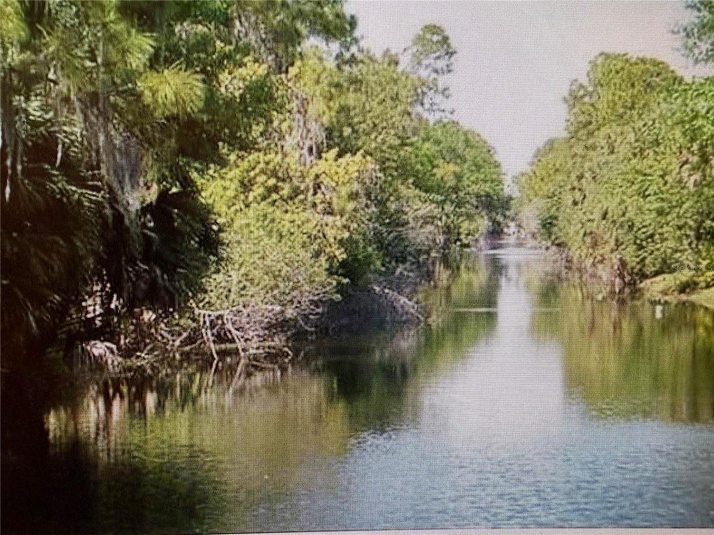 Picture 3