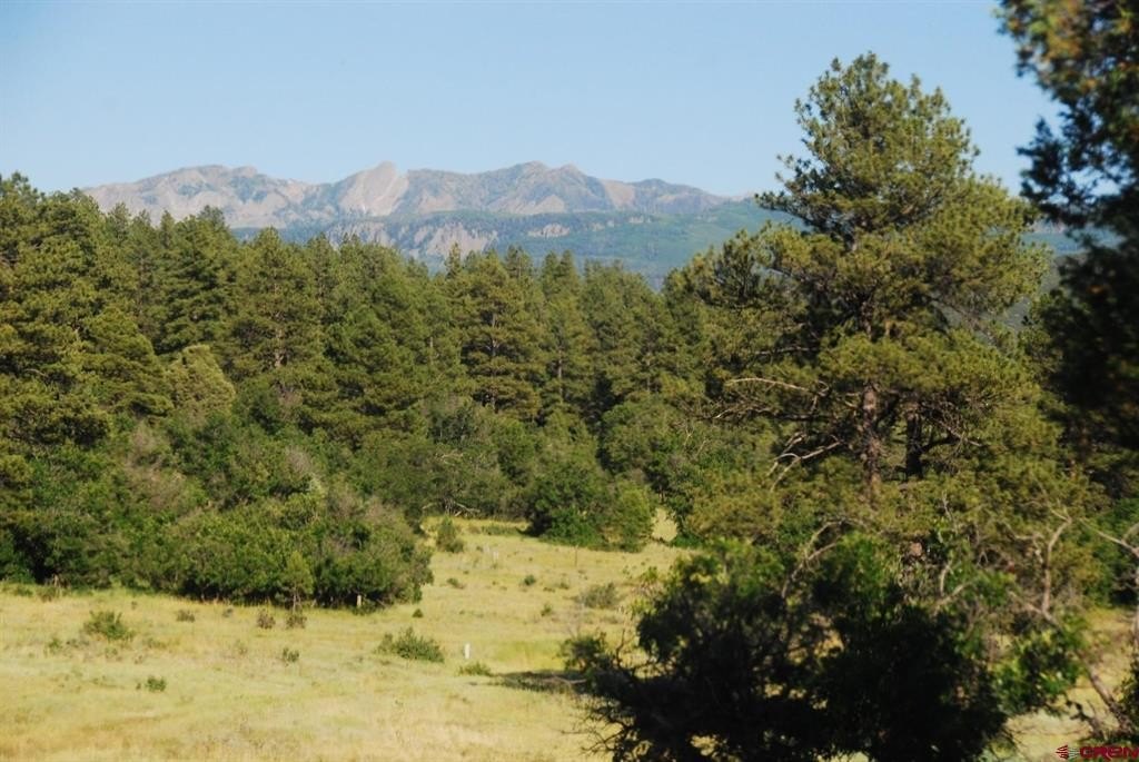 Land in Pagosa Springs, CO
