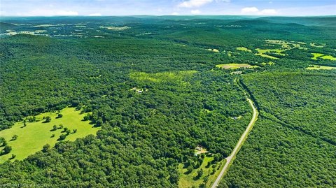 140 Acres Ozark Beauty Land
