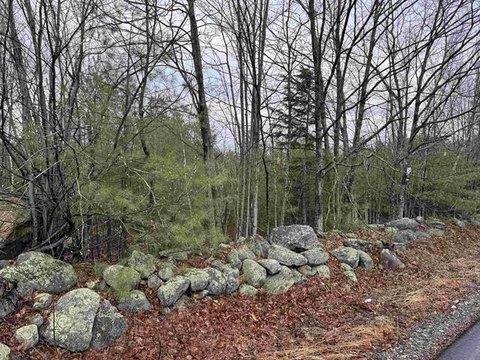 Residential Land in Wooded Setting