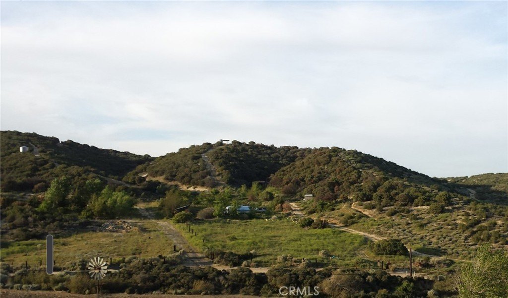 Picture 19