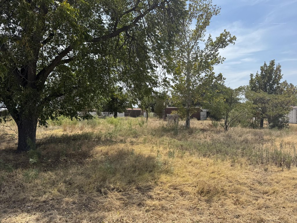 Picture 17