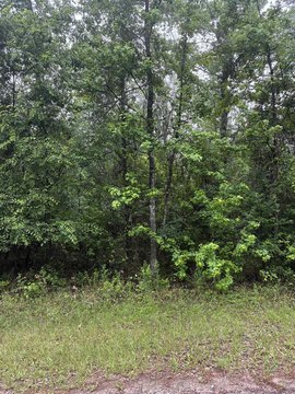 Wooded Lot Near Lake O' Pines