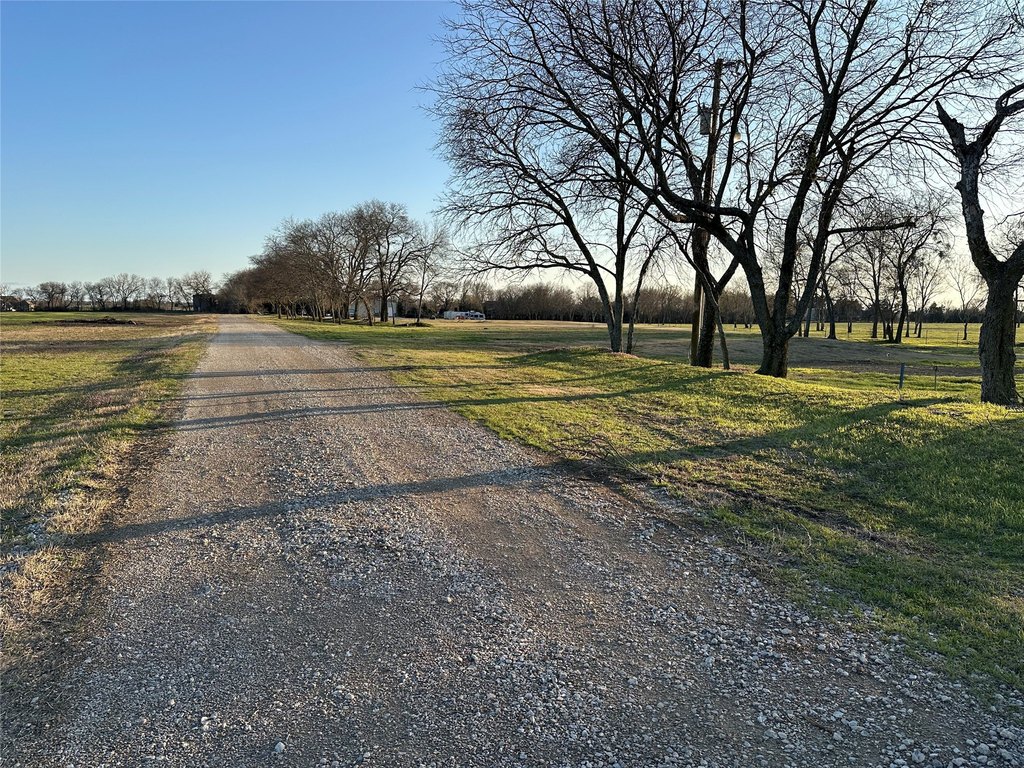 Picture 33