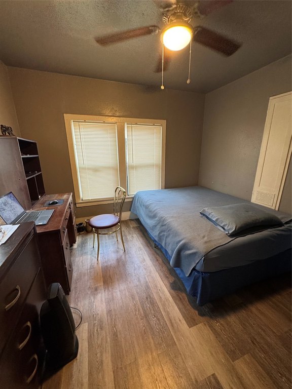 Picture 5
