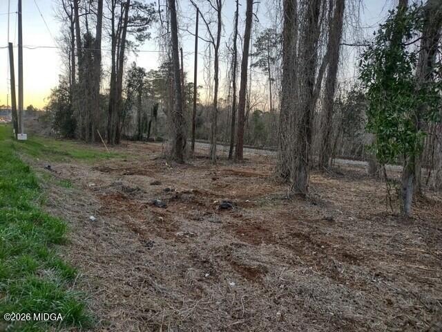 Picture 3