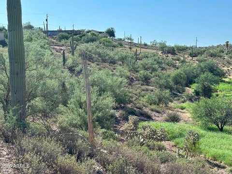 Land, Gold Canyon, AZ