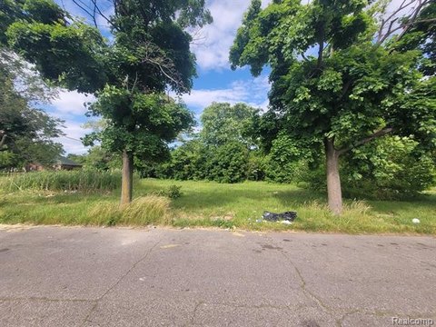 Residential Land Bundle in Detroit
