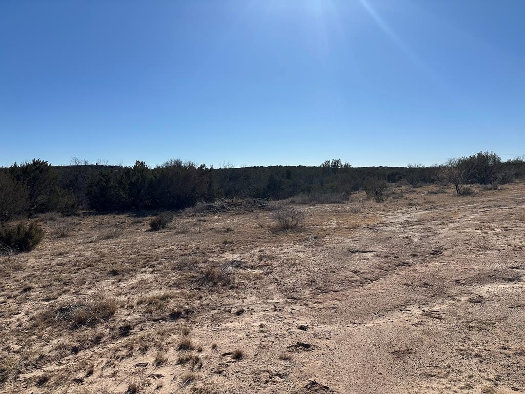 160 Acres Pastureland in Hermleigh, TX