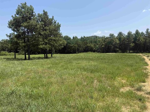 Vacant Land, Lamar, AR