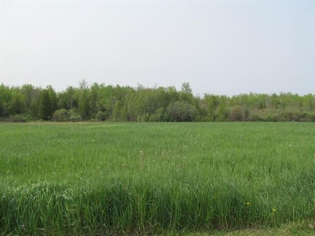 Picture 13