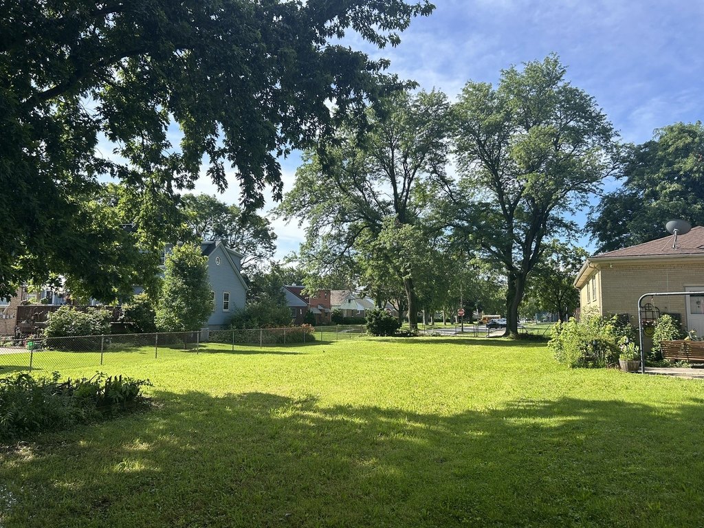 Picture 14