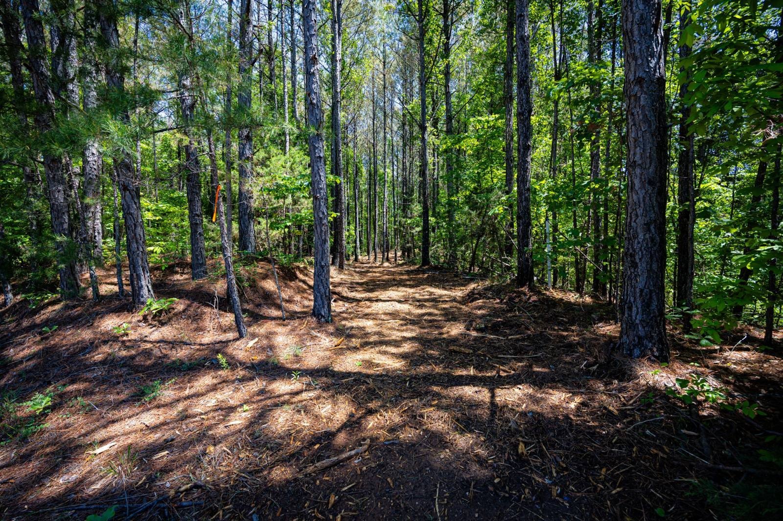 Land Near Fulton, MS