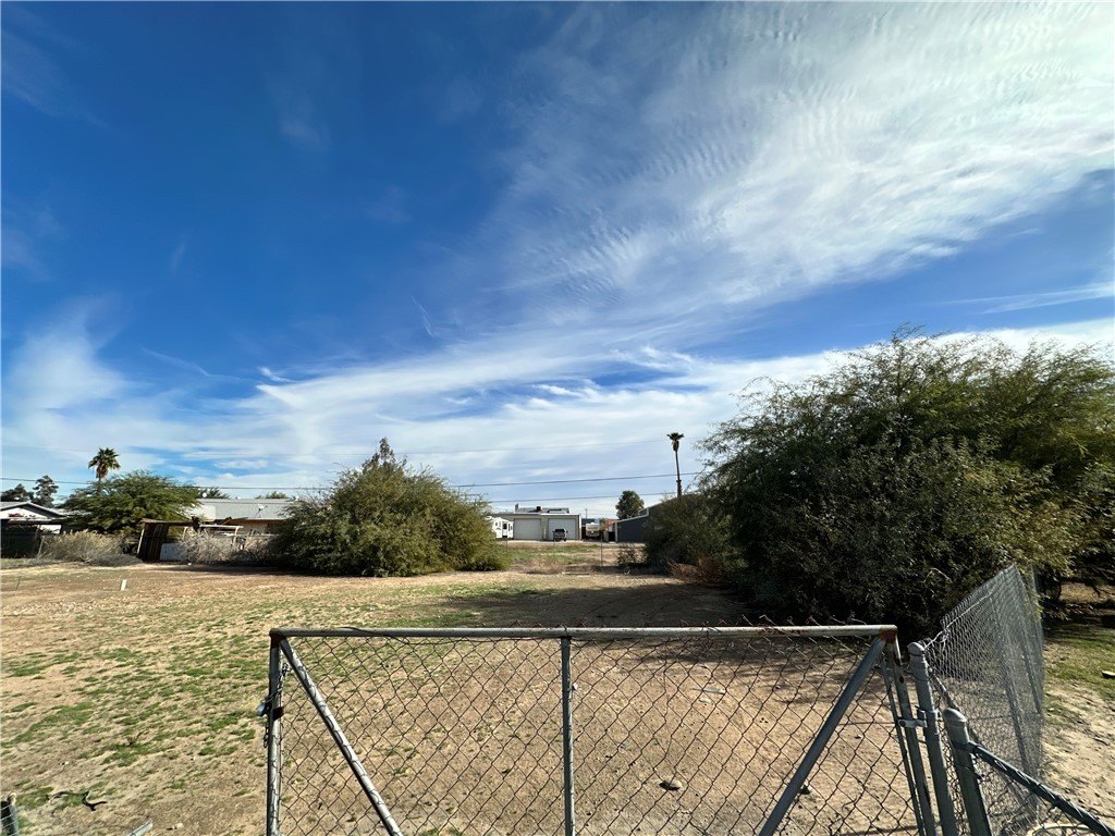 Picture 3