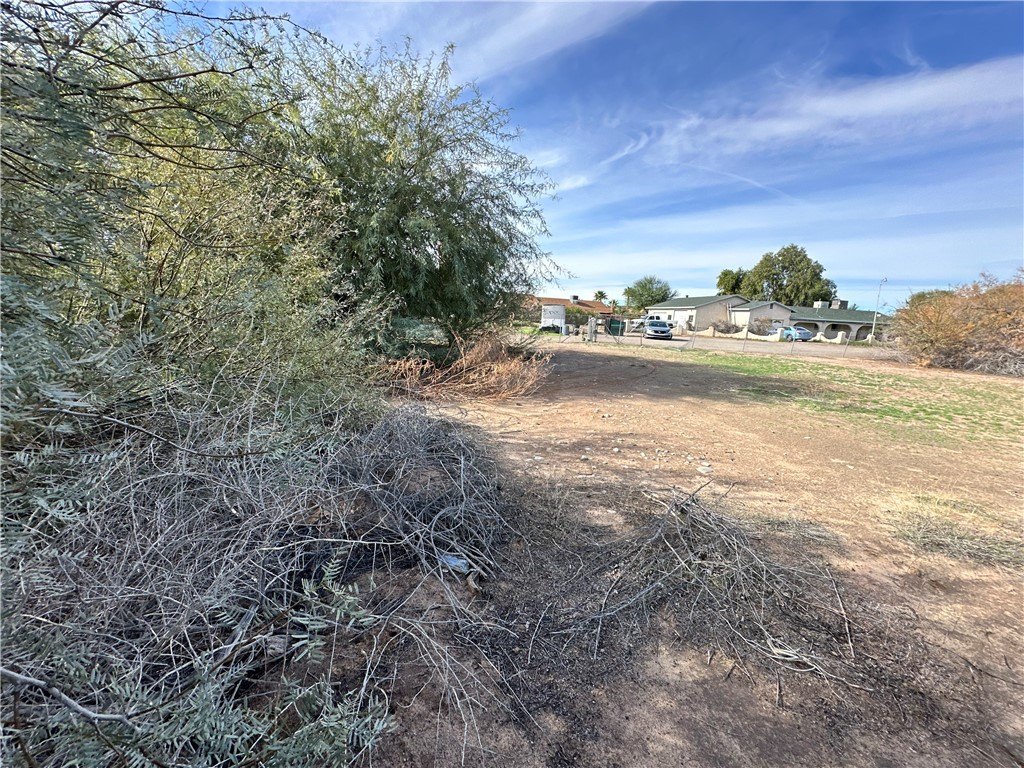 Picture 16