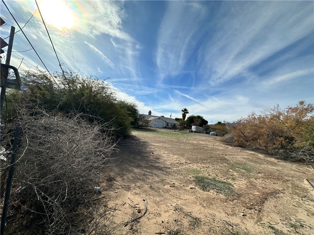 Picture 11