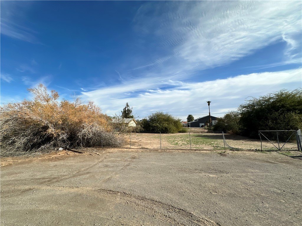 Picture 19