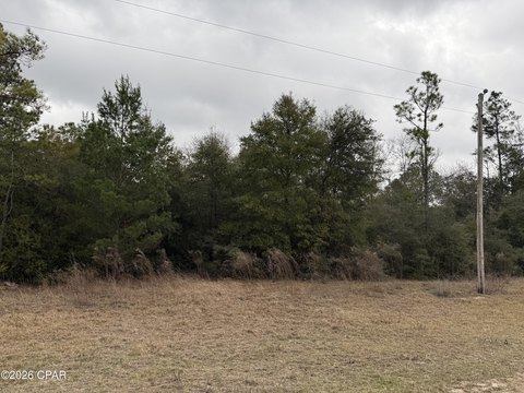 LAND - Alford, FL