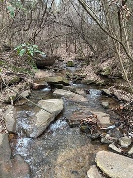 Land, Lookout Mountain, TN