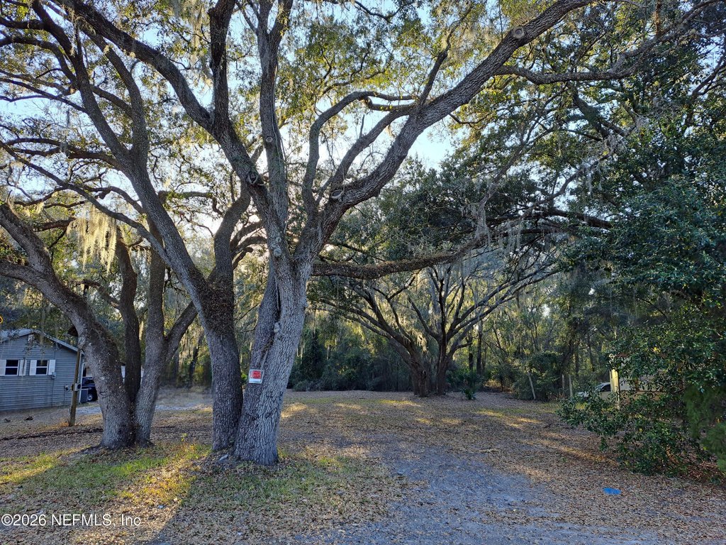 Picture 4