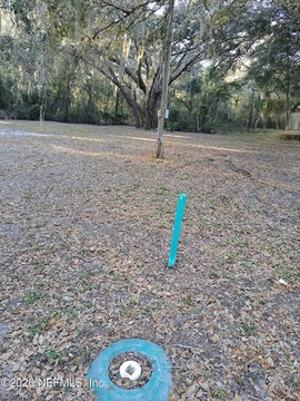 LAND - Wildwood, FL
