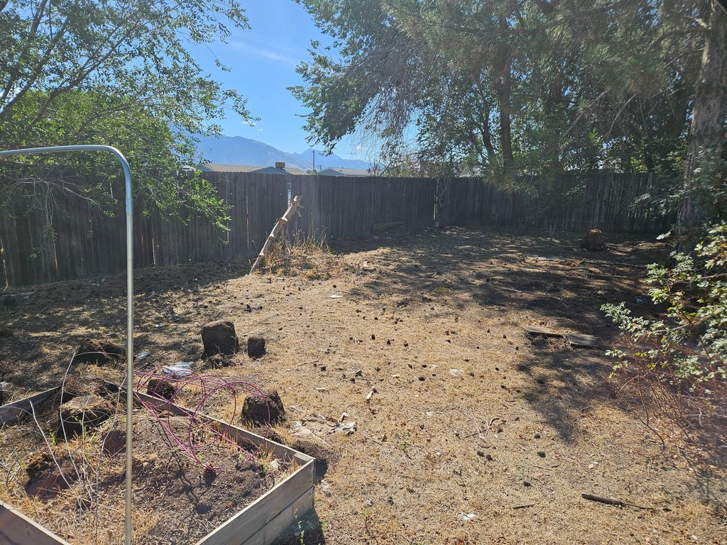 Picture 3