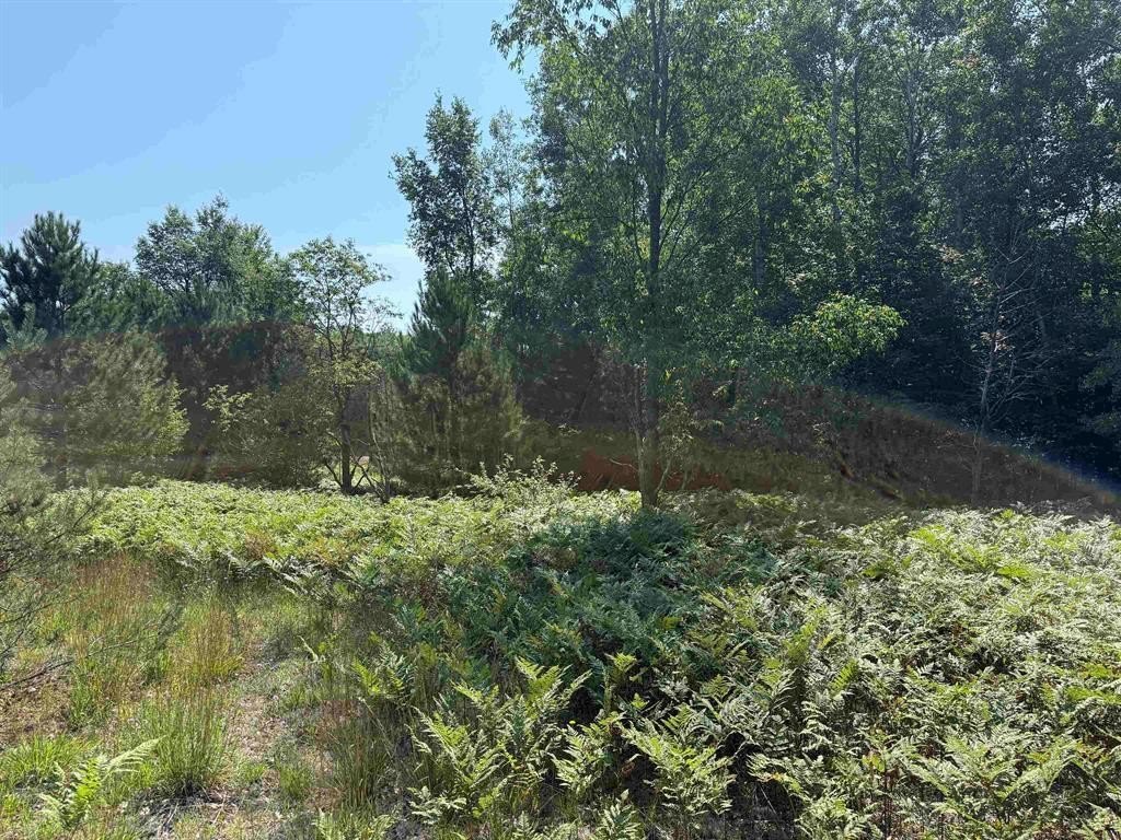 Picture 21