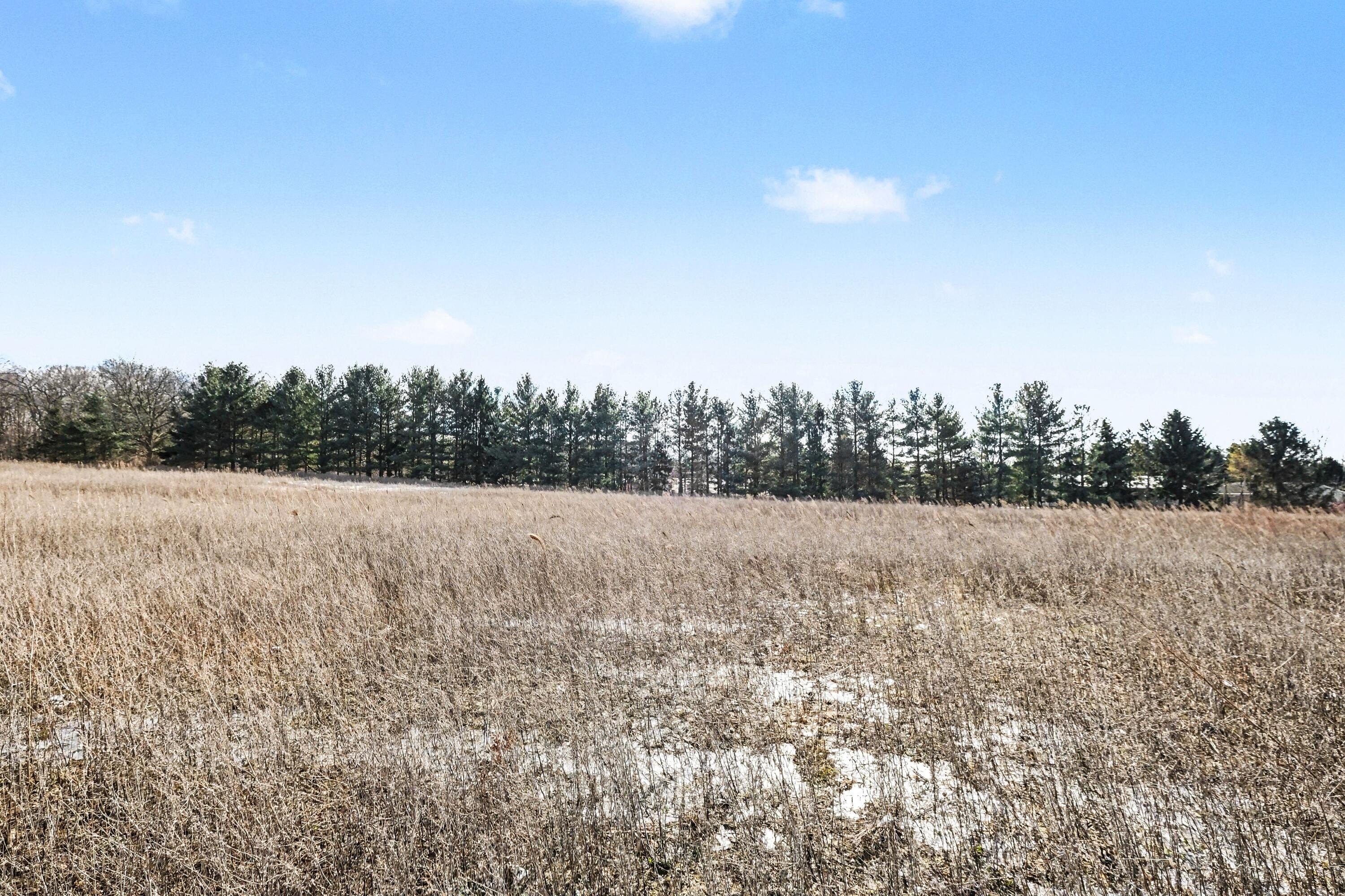 Rockford Land Opportunity