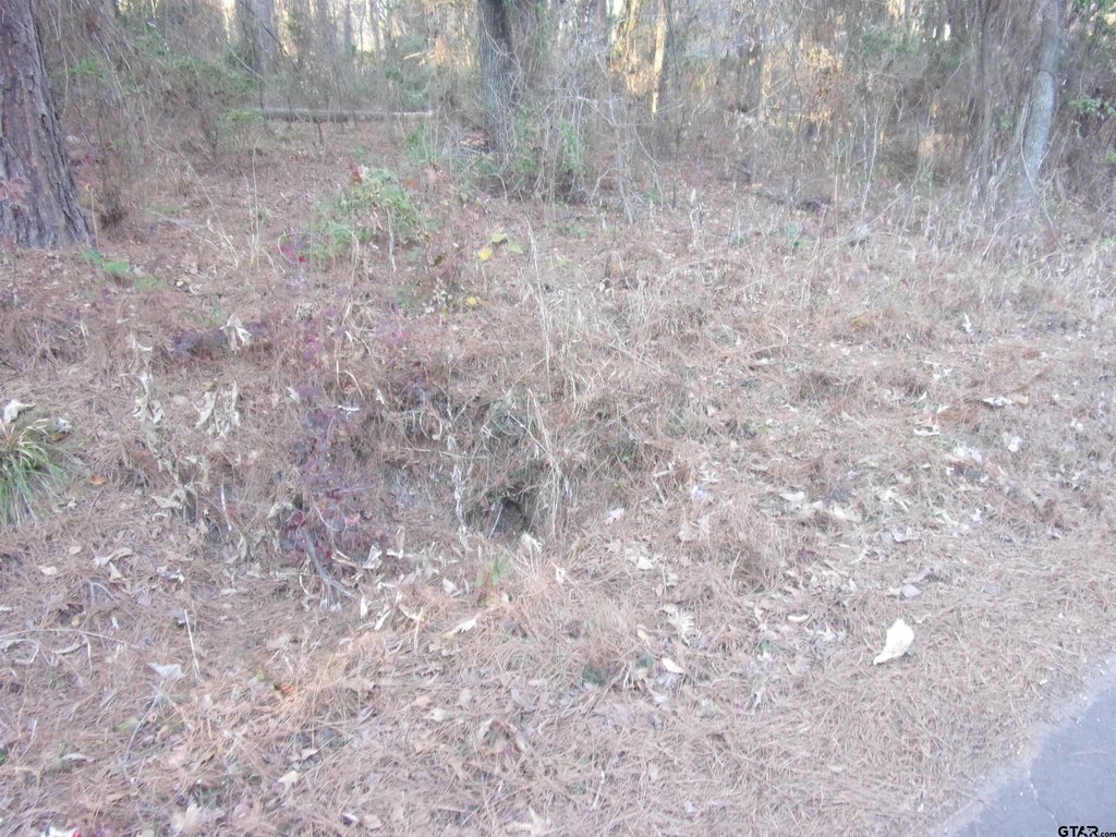 Picture 3