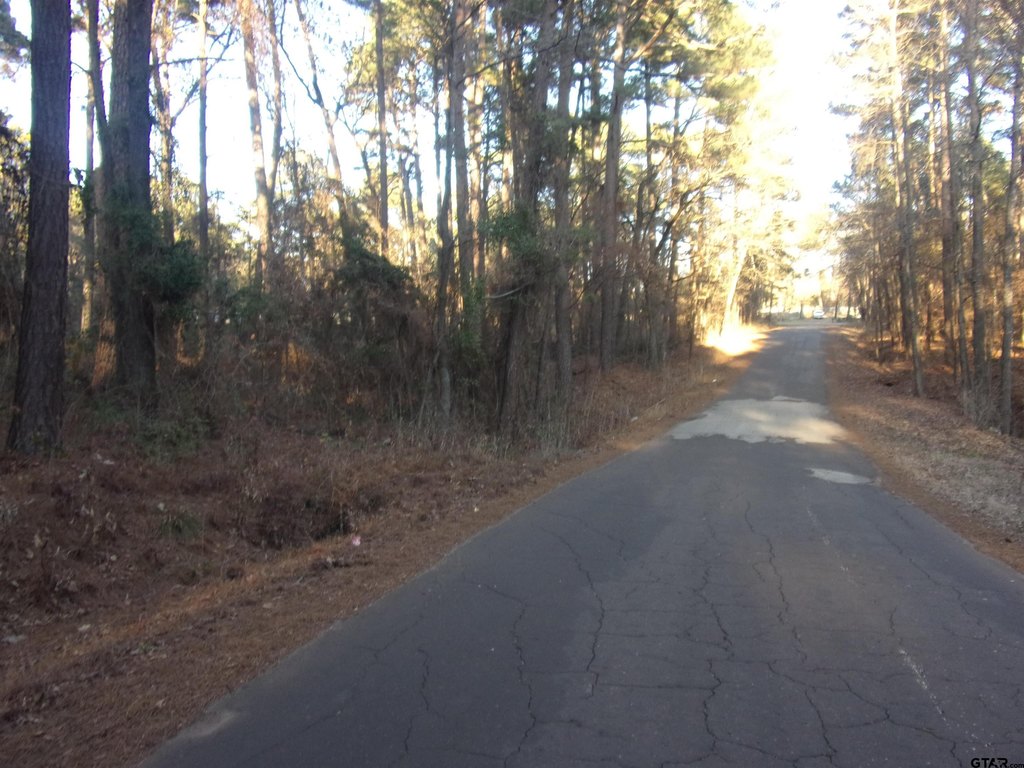 Picture 5