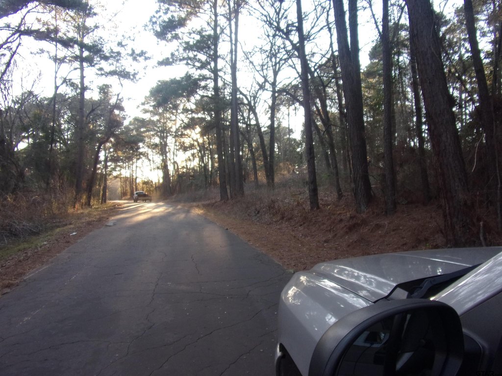 Picture 6