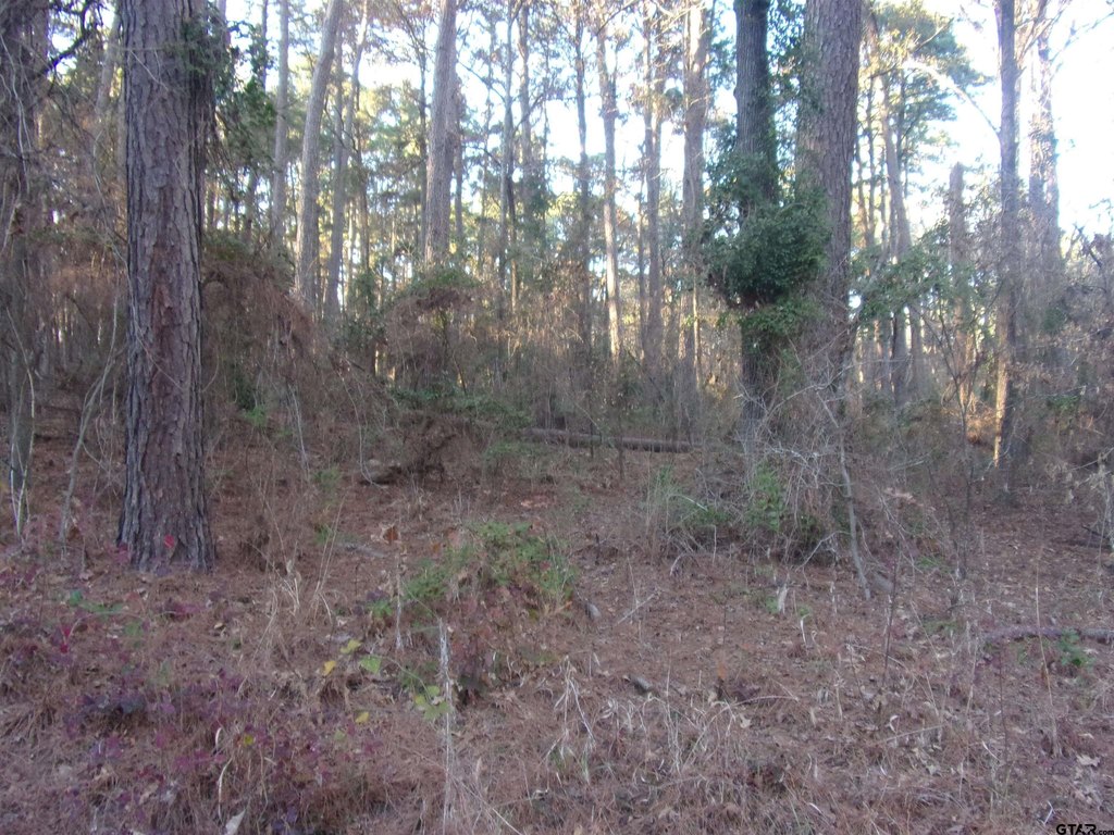 Picture 4