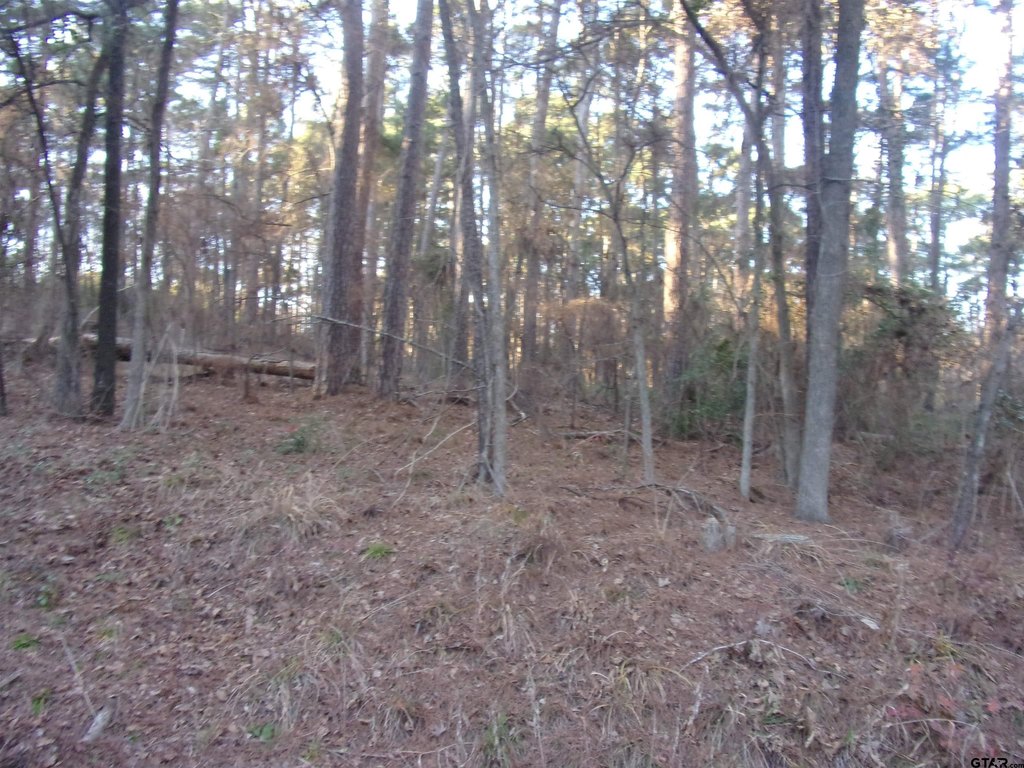 Picture 2