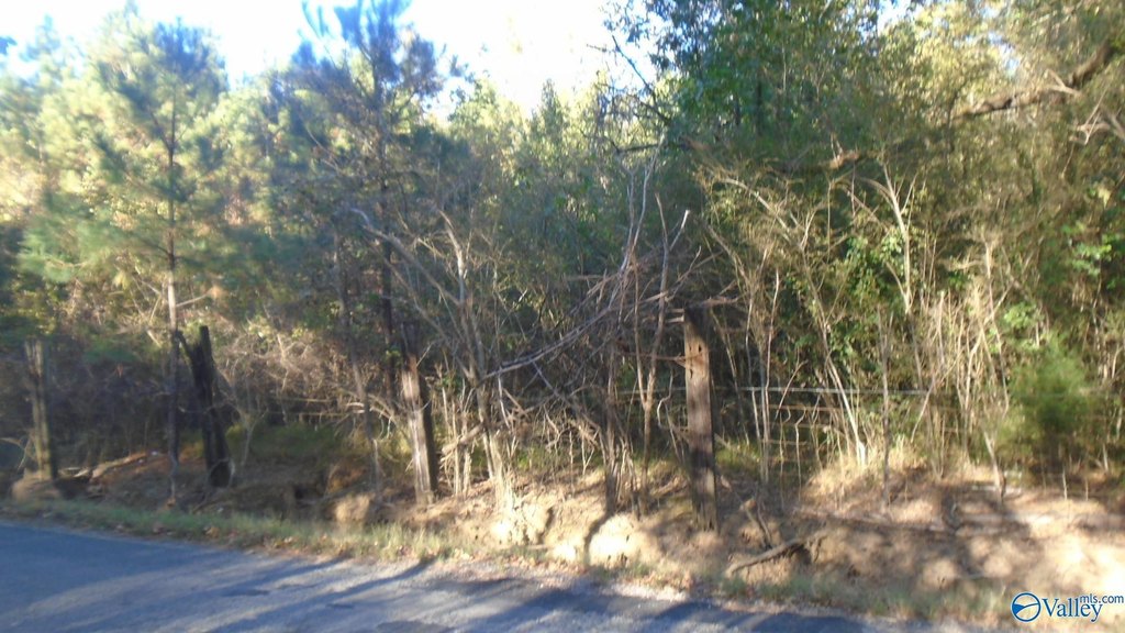 Picture 3