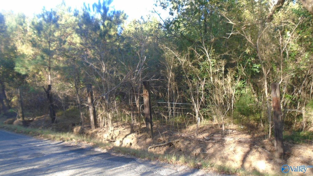 Picture 2