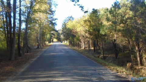 Land, Attalla, AL