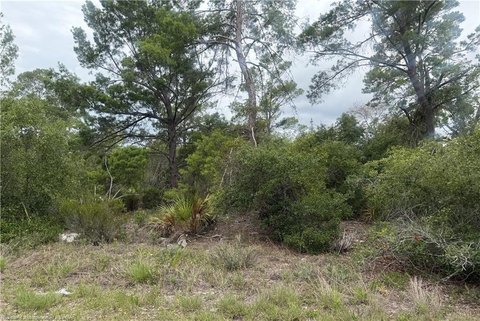 LAND - Lake Placid, FL