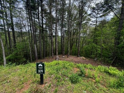 Gated Mountain Homesite with Creek