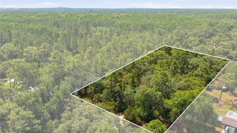 Crystal River Homesite on 1.08 Acres