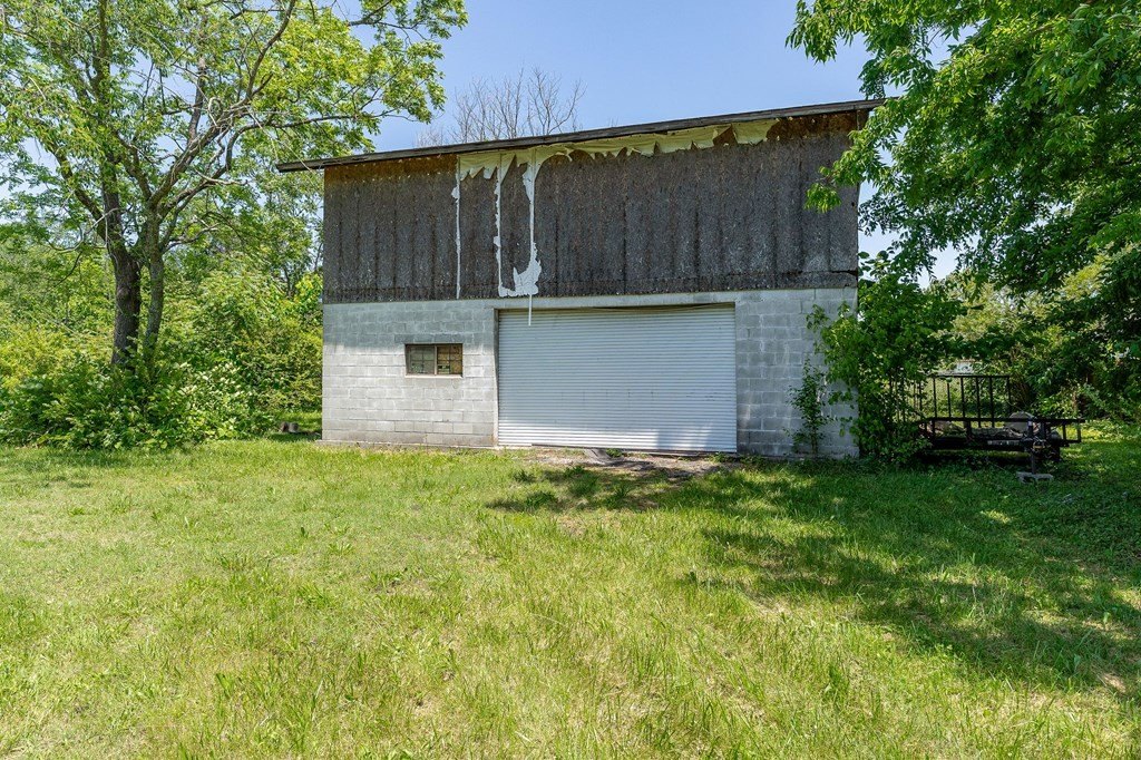 Picture 15