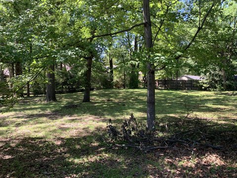 East Memphis Corner Lot