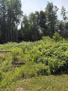 LAND - Corinth, ME