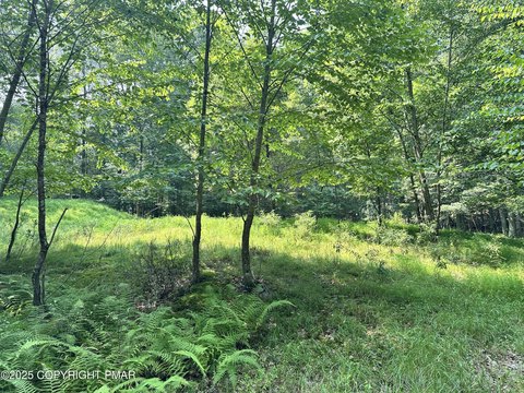 Serene Timber Hill Land Parcel