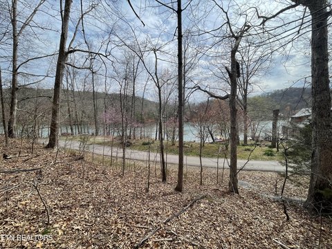 Laurel Lake Wooded View Lot