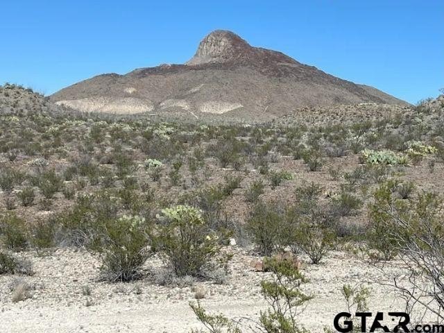 20 Acres Hunting Land, Terlingua