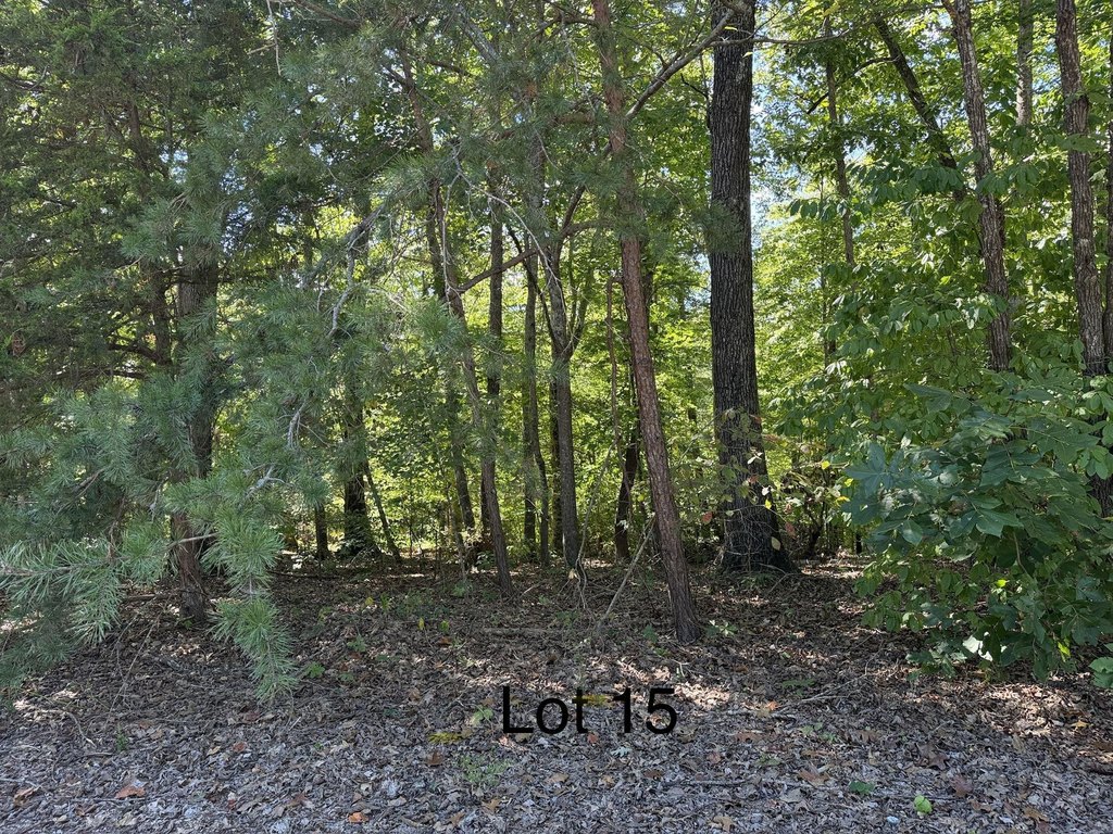 Picture 4