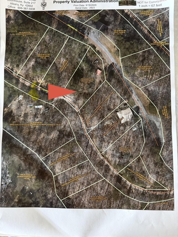 Picture 3
