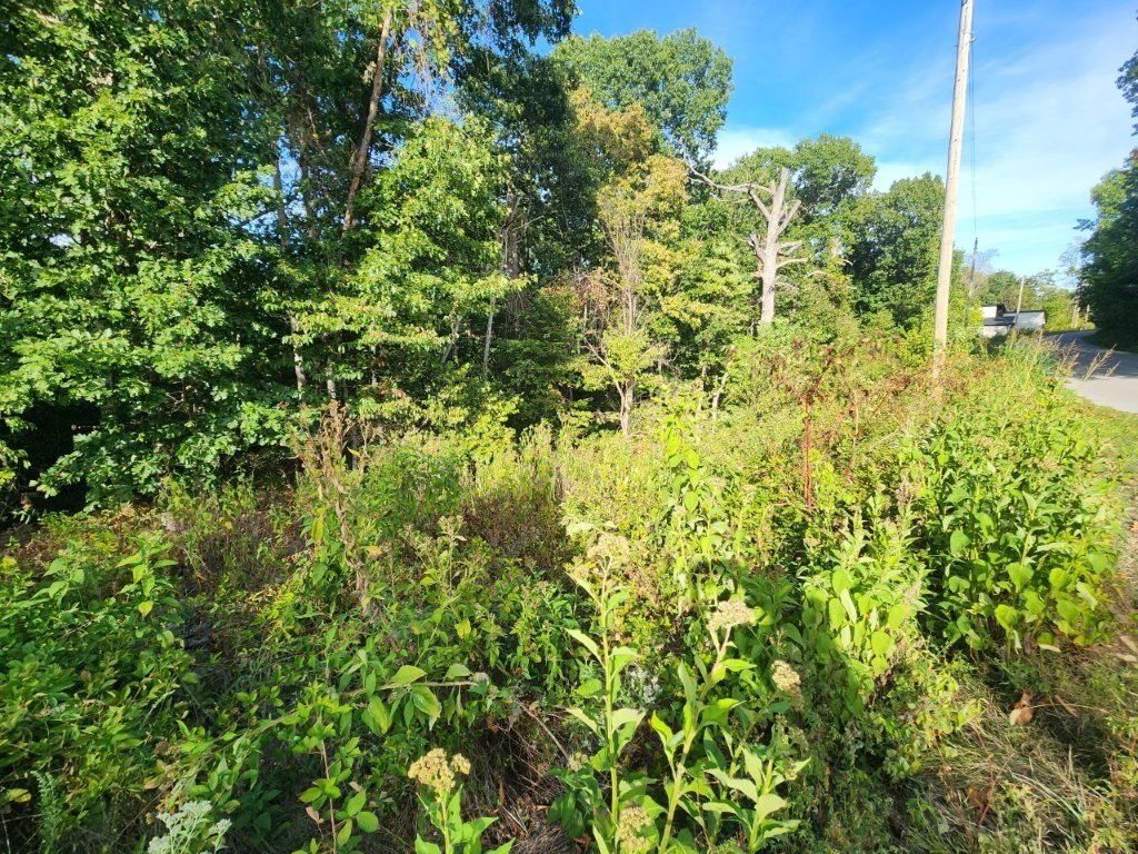 Picture 6