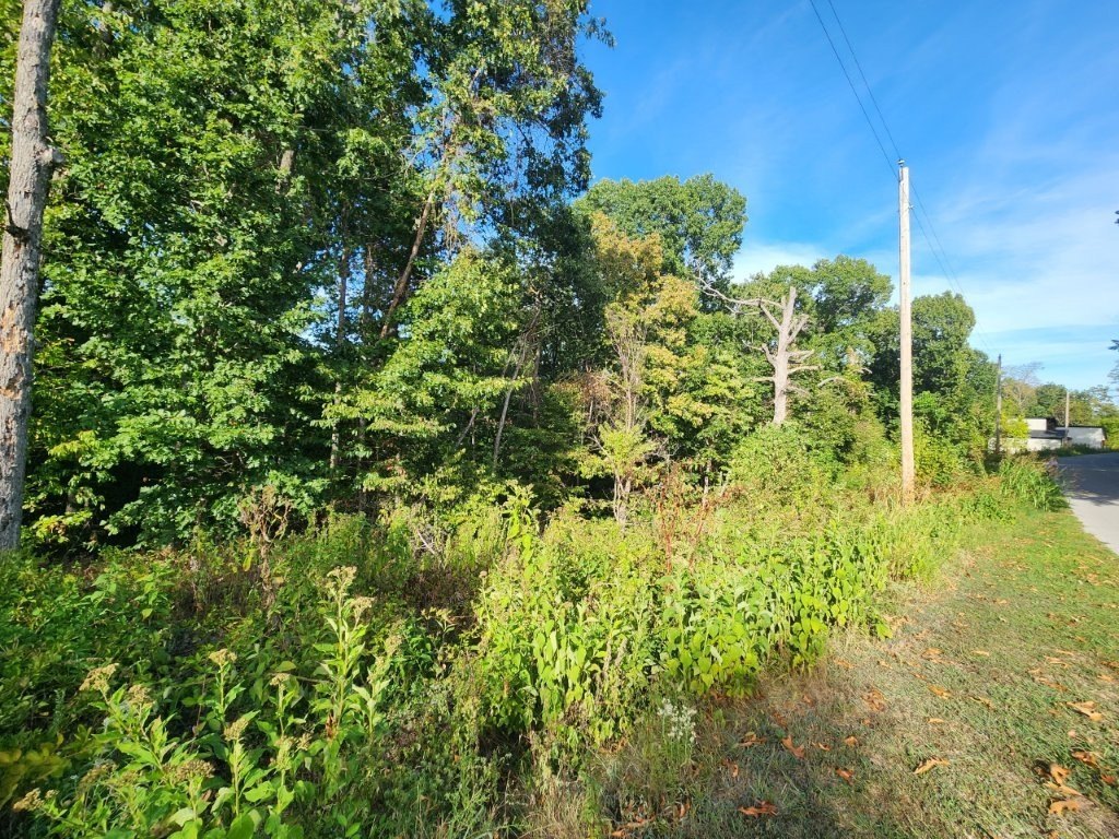 Picture 5