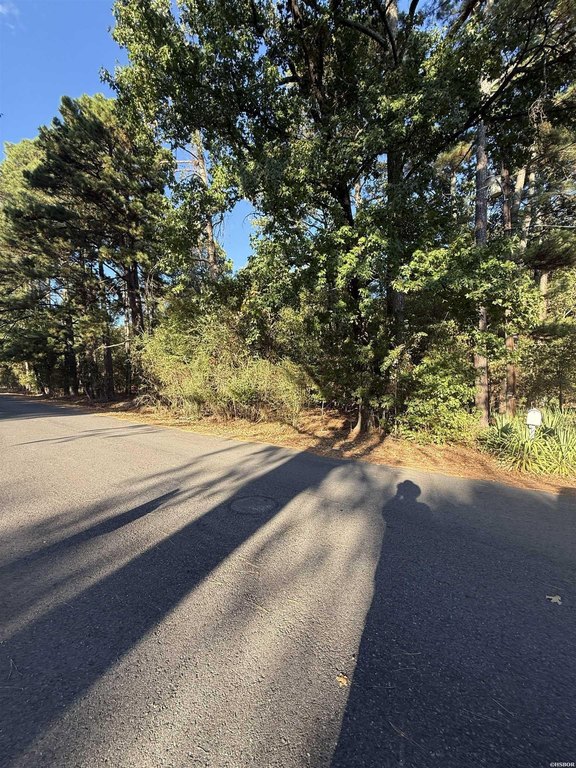 Picture 6